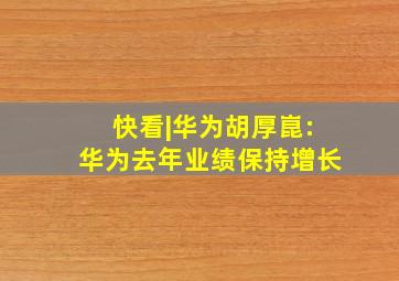 快看|华为胡厚崑:华为去年业绩保持增长